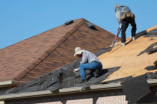 Best Asphalt Shingles Roofing  in Bear Creek Ranch, TX